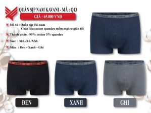 Quần lót Kavani Q13